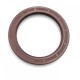 Pressure oil seal 55x72x8/8,5 N1T01 FPM [BABSL]